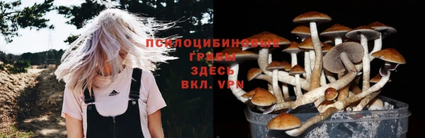 соль курить ск Алексин