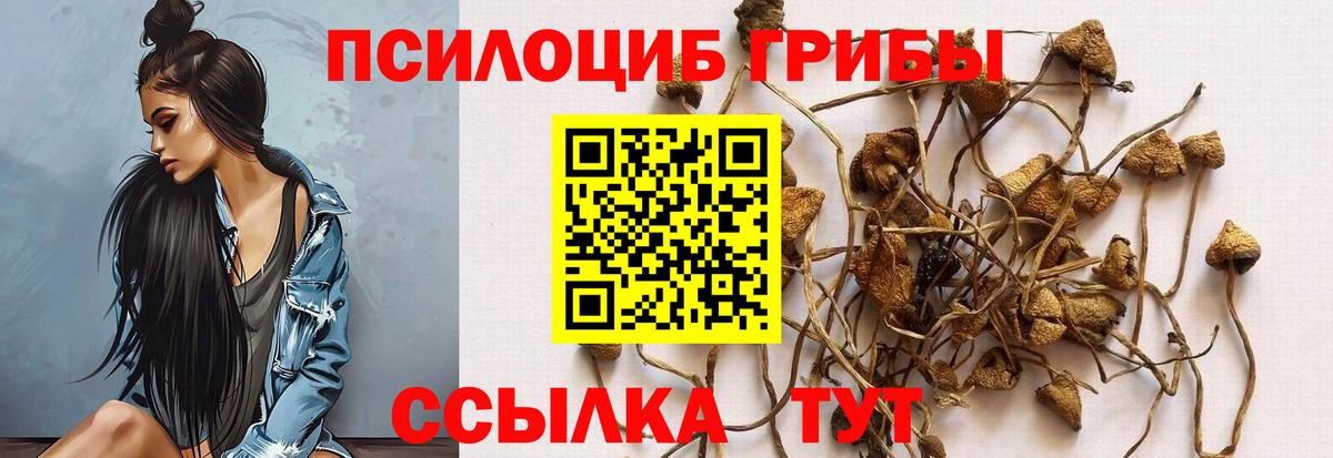 Галлюциногенные грибы мухоморы Белореченск
